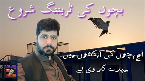 Peer Fawad Azim Ke Chat Par Masrofiat Aur Bacha Kabootaron Ke Ankh Mein