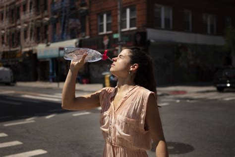 La Tierra Registró Dos Días Seguidos Las Temperaturas Más Altas De La