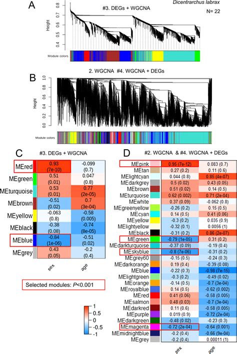 Identification Of Gene Modules Associated With Sex Gene Hierarchical Download Scientific