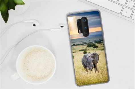 Oneplus Pro Hoesje Zonnestralen Boven Een Olifant In De Savanne