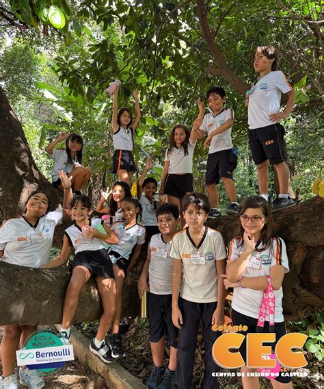 Centro De Ensino Do Castelo - 5