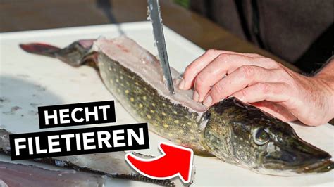 HECHT FILETIEREN für Anfänger und 5 grätenfreie Filets erhalten