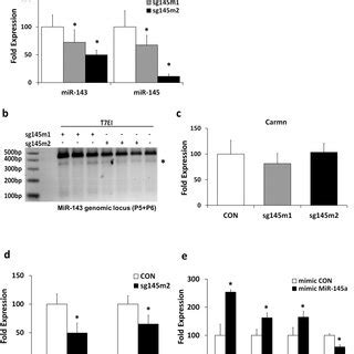 Effect Of CRISPR Cas9 Editing Of The MiR 143 145 Cluster On MiRNA