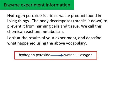 Enzyme Experiment Learning Objectives Describe Experiments To Investigate