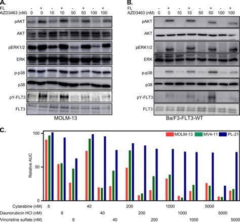 The Alk Inhibitor Azd Effectively Inhibits Growth Of Sorafenib