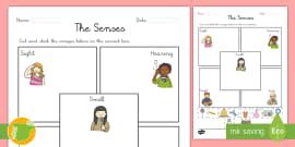 KS1 The Five Senses Display Pack Teacher Made