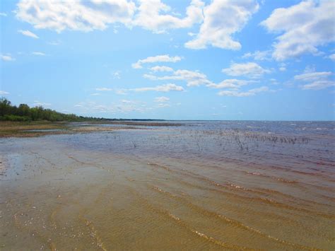 Big Bog State Recreation Area — Hiking Minnesota