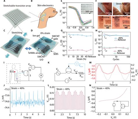 Biomimetic Wafer Scale Alignment Of Tellurium Nanowires For High