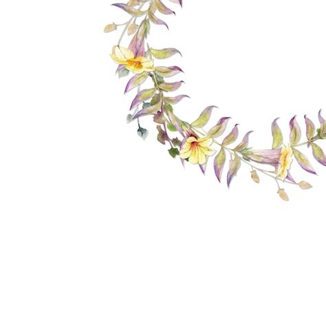 Arrangement De Cadre De Cercle Aquarelle Avec Des Branches Et Des