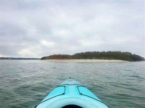 Ecomersion Starts Kayak Tours In Boca Ciega Bay I Love The Burg