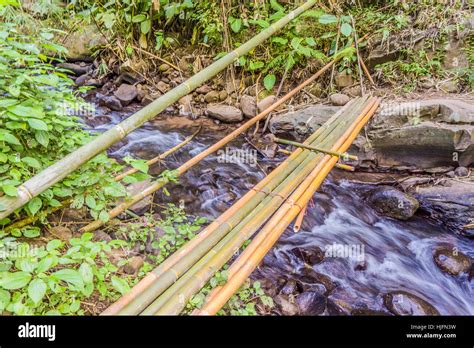 Bamboo Bridge Over Rill In Forest Stock Photo Alamy