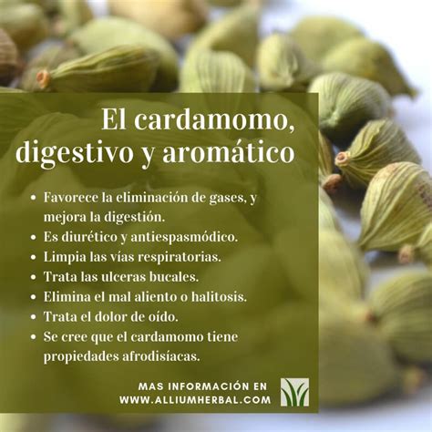 El Cardamomo Aromatizante Y Digestivo