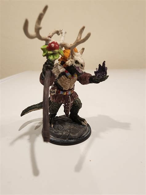 One Of My Players Pc Lizardfolk Circle Of Spores Druid R