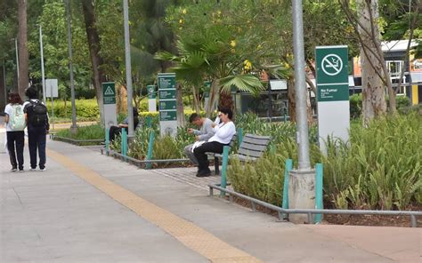 Parque Irekua Refuerza Medidas De Seguridad En Temporada De Lluvias