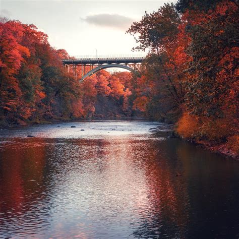 Fall In Rocky River Reservation Rcleveland
