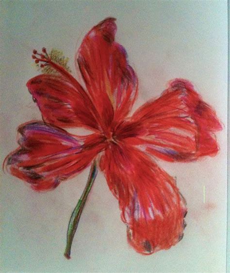 A Drawing Of A Red Flower On A White Paper With Colored Pencils In It