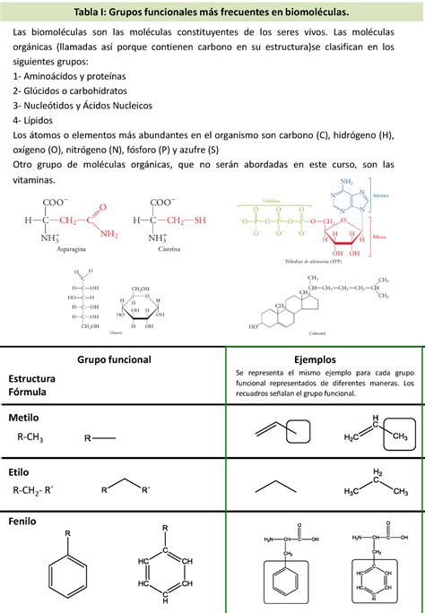 Grupos Funcionales Introductorio Tabla Tabla I Grupos Funcionales Hot Sex Picture