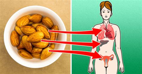 4 Cosas Que Suceden A Su Cuerpo Si Comienza A Comer Almendras Todos Los Días Vida Saludable