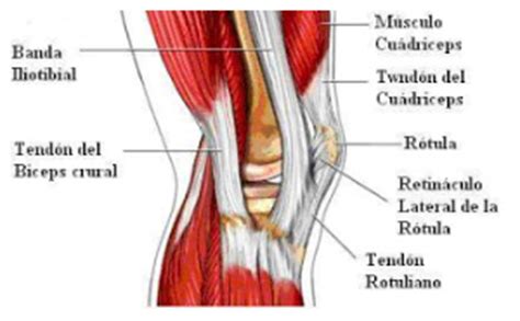 Síndrome de la banda iliotibial o rodilla del corredor TraumaModern