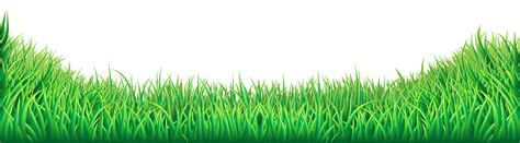 Grass PNG Transparent Background | Photo clipart, Clip art, Art images