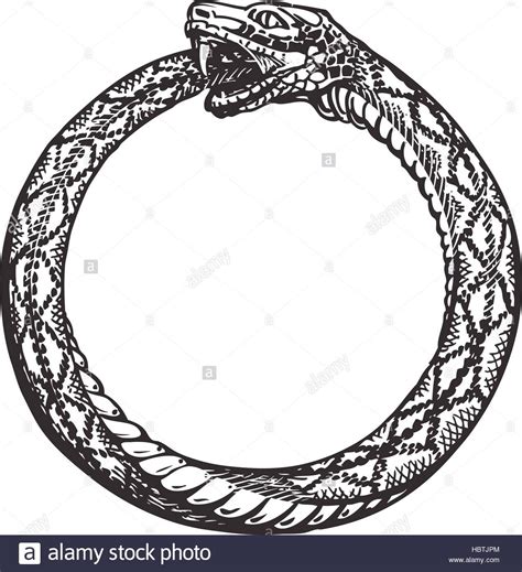 Ouroboros Art Ouroboros Snake Snake Tattoo S Tattoo Sleeve Tattoos