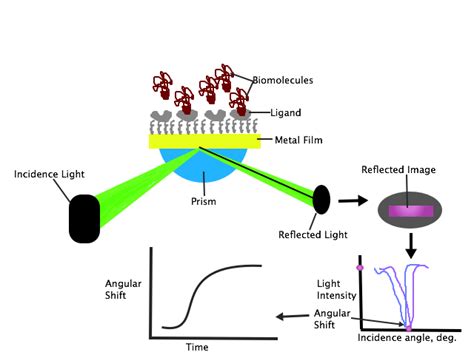 Plasmon Resonance Engineering Libretexts