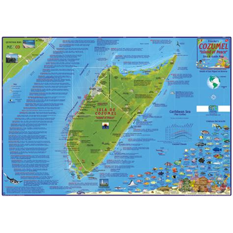 Cozumel Folding Guide & Dive Map