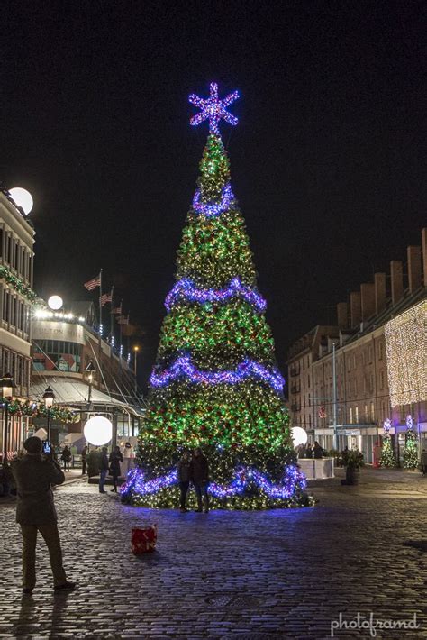 South Street Seaport – Christmas Tree 2013 | photoframd.com