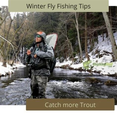 Rainbow Trout Fly Fishing Tips Beginner S Guide To Catch More Fish