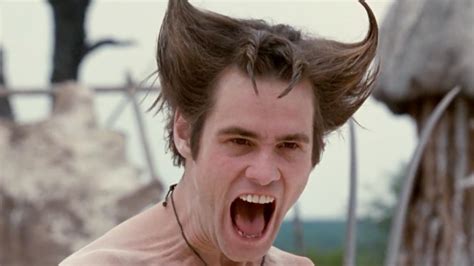 Funny Videos Of Jim Carrey - Funny PNG