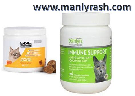 Lysine For Cats - We Care Your Lifestyle