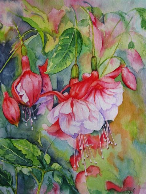 Fuchsien Aquarell 24x32 Cm Aranka Karl Floral Watercolor