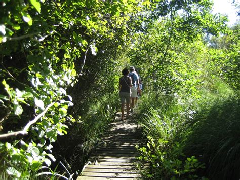 Les visites guidées de la Réserve Naturelle de lEtang Noir à SEIGNOSSE