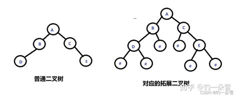 【数据结构】二叉树的建立拓展二叉树法和遍历 知乎