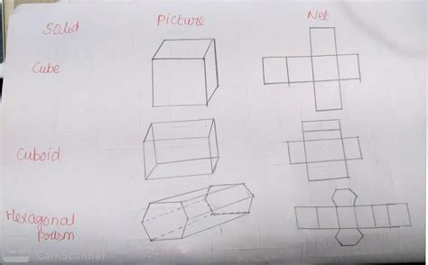 How To Draw The Net Of A Cuboid Artistrestaurant2