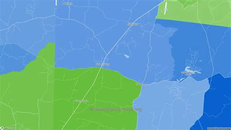 Race, Diversity, and Ethnicity in Hickory Valley, TN | BestNeighborhood.org