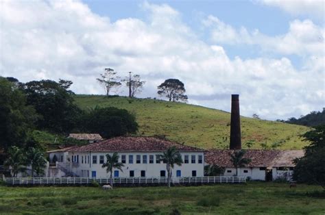 The Best 15 Engenhos De Cana De Açucar No Brasil Colonial