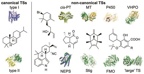 Terpene Synthases In Disguise Enzymology Structure And Opportunities