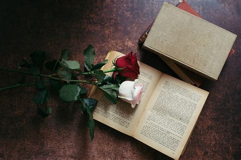 Roses Flowers Book Aesthetics HD Wallpaper Peakpx