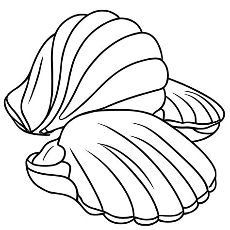 Coloring Page Black And White Large Clams · Creative Fabrica