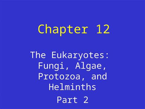 PPT Chapter 12 The Eukaryotes Fungi Algae Protozoa And Helminths