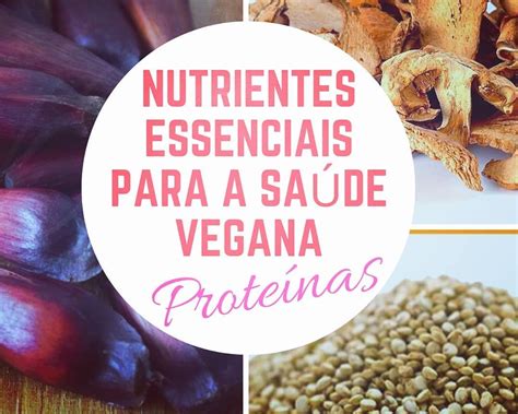 ProteÍnas As Proteínas E Aminoácidos Que As Compõem Têm Função Estrutural Bioquímica E