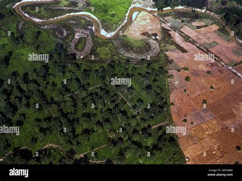 Aerial View Of Brahmaputra River Stock Photo Alamy