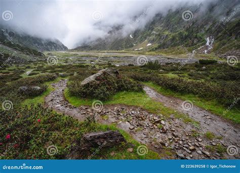 Summer View Of Alpine Mountain Valley With Winding Stream And Glacial