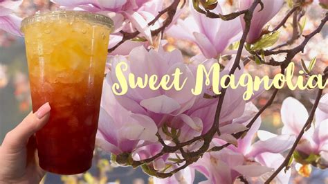 Sweet Magnolia Herbalife Tea Youtube