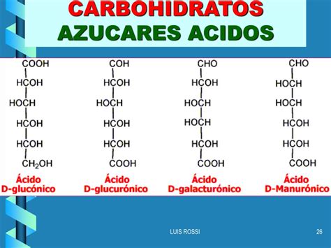 Ppt Clasificacion De Las Celulas SegÚn Sus Caracteristicas