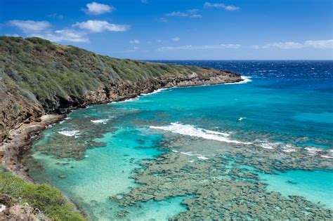 Premium Photo Hanauma Bay Snorkeling Paradise In Hawaii