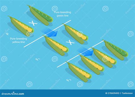 D Ilustraci N Conceptual Vectorial Plana Isom Trica De La Herencia