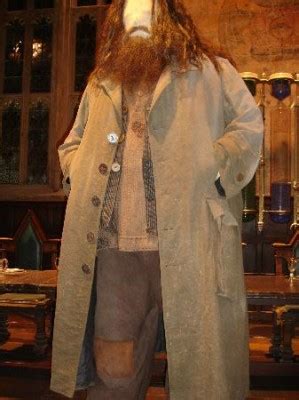 How to Make a Hagrid Costume