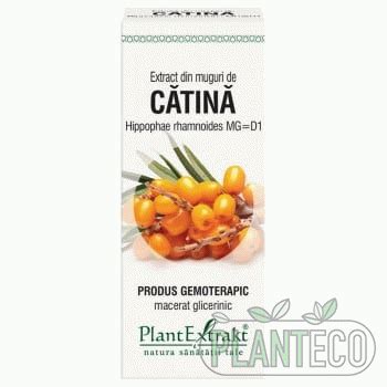 Extract Din Muguri De Catina Alba Ml Plant Extrakt Planteco